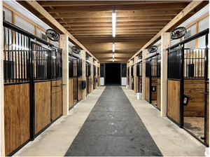 Seepoem Durable 4m * 4m Noir Métal En <span class=keywords><strong>Bois</strong></span> Cheval Stable 12ft * 12ft Cheval Box avec Bonne Ventilation Nouvel État Cheval <span class=keywords><strong>Abri</strong></span> - Product Image 3