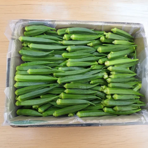 ผักกระเจี๊ยบเขียวออแกนิก - Product Image 2