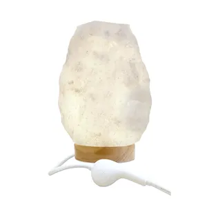 Customized Top Supplier OEM Service Highest Quality Carved Himalayan Snow White Salt Lamps with 100% Natural salt lamps