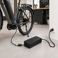 Chargeur de batterie pour trottinette électrique