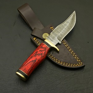Couteau à lame fixe en acier Damas personnalisé, manche en bois Pakka rouge, couteau de chasse Bowie, outil de dépecage pour l'extérieur - Product Image 2