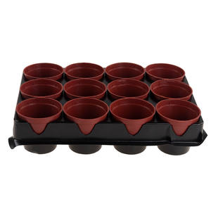 Bandejas de Cultivo Multiplacas Martom TG67324 con Tapas, 12 Láminas Rectangulares de Plástico, Orificios de Drenaje, Paleta Incluida - Product Image 2