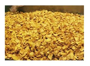 Frutos secos de Jaca crujientes de Jaca natural de alta calidad de 99 DATOS de oro con precio competitivo - Product Image 3