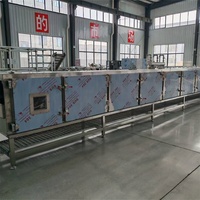 Ligne de production de nouilles avec tunnel de cuisson à la vapeur, machine automatique de fabrication et de cuisson de nouilles en tunnel