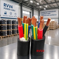 Cable de Alimentación RVV con Aislamiento XLPE, Revestimiento de PVC, 3, 4, 5, 6 Núcleos, Cobre Puro, 300V 500V, Cableado Industrial para Construcción