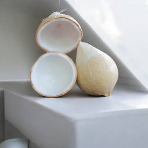 Exportaciones vietnamitas de coco seco - Product Image 6