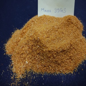 Première qualité 26% volaille maïs alimentation distillateurs grains secs avec soluble (DDGS) alimentation animale pour l'exportation - Product Image 6