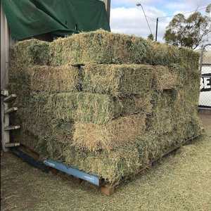 Foin de luzerne en ballots de haute qualité pour chevaux et bovins alimentant les aliments pour animaux à vendre - Product Image 3