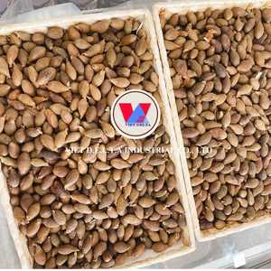 MALVA <b>NUTS</b> WHOLE DRIED HERB INGREDIENT FOR TEA IMMUNE SUPPORT - Product Image 5