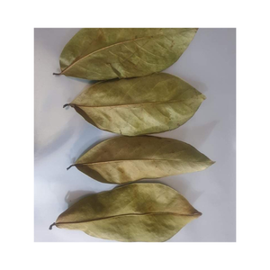 ขายร้อน - ใบหญ้าฝรั่งแห้ง / ใบหญ้าฝรั่ง / ขายส่งคุณภาพสูงจากเวียดนาม - Product Image 1