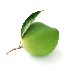 Best Selling Price Green Fresh Mango/V.A.F Agriculture manufacture / Green & Yellow Mango