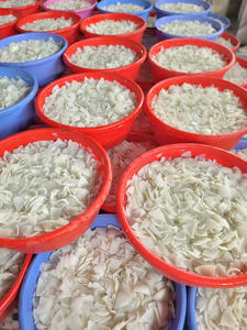 Carne de coco seca de Vietnam, tiras gruesas, rico sabor a coco, pedidos al por mayor bienvenidos, servicio de reenvasado OEM, capacidad de exportación estable - Product Image 3