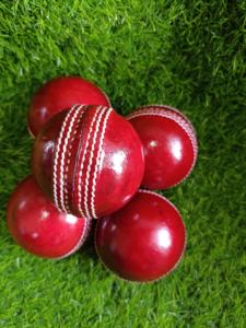 Batte de balle dure en cuir personnalisée professionnelle en gros pour la formation de cricket équipement d'intérieur de haute qualité en provenance d'Inde - Product Image 3