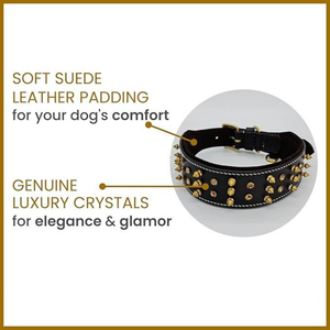Elegante Collar de Cuero Premium para Perro con Acabado de Tachuelas, Diseño Simple y Lujoso, para Perros Pequeños y Grandes, Duradero, Transpirable y Ecológico - Product Image 3