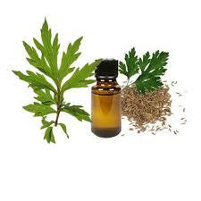 Natürliches Aroma Heiß verkaufendes ätherisches <span class=keywords><strong>Davana</strong></span>-Öl Premium Hochwertiger Exporteur 100% reines und natürliches ätherisches <span class=keywords><strong>Davana</strong></span>-Öl in Indien - Product Image 4