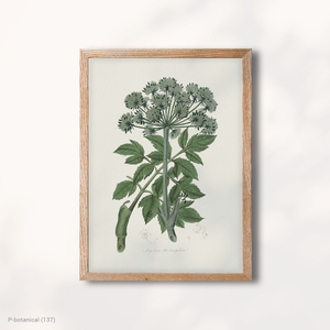 ภาพพิมพ์บนผ้าใบลายกิ่งใบไม้สีเขียว ศิลปะตกแต่งผนังแนวพฤกษศาสตร์ ภาพประกอบประวัติศาสตร์ธรรมชาติสมัยใหม่ พร้อมกรอบไม้ - Product Image 1