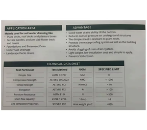 Feuille de drainage en plastique à noyau nu légère et durable pour la gestion de l'eau dans le toit en dalles de podium - Product Image 5