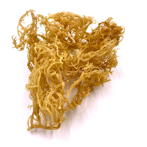 Mousse de mer séchée de haute qualité VDELTA Top vente d'algues d'exportation assaisonnées en sac - Product Image 1