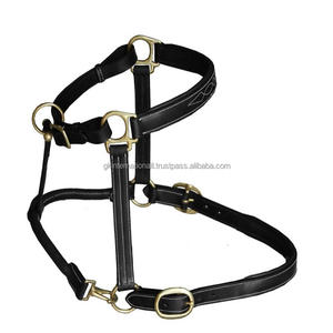 Licou de cheval rembourré en cuir véritable, cousue fantaisie, fabricant de licou de cheval indien, équipement équestre, licou fantaisie - Product Image 2