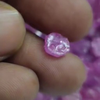 450 Stück Natürlicher Bangkok Rosa Saphir 6mm-12mm Roh 980 Karat Zertifiziertes Lot IROC Verkauf Hochwertiger Roher Edelstein für Schmuckherstellung