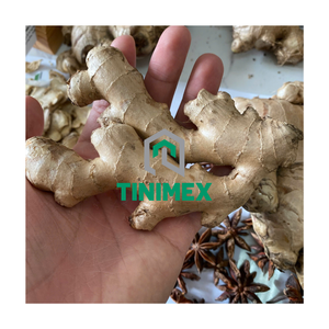 Jengibre Híbrido Fresco y Económico - Fábrica Vietnamita - Product Image 1