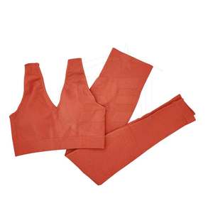 Servicio OEM, Conjunto de Yoga Profesional para Mujer, Tallas Grandes, Transpirable, de Secado Rápido, con Logotipo Frontal, Conjunto de 2 Piezas de Alta Calidad - Product Image 4