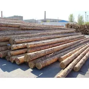 Tronchi di frassino di quercia betulla di pino/legname e tronchi di legno di eucalipto/legno grezzo