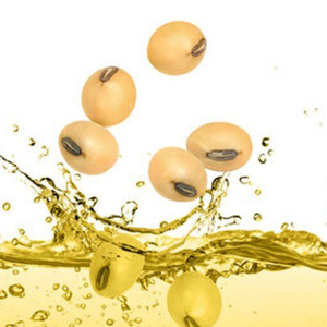 Vente en gros d'huile de tournesol fractionnée raffinée biologique pour la cuisson Pureté de 100% Durée de conservation de 24 mois - Product Image 1