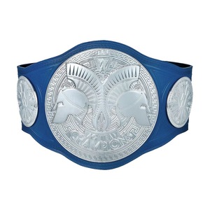 Cinturones de Entrenamiento de Campeonato Universal de Alta Calidad al por Mayor, los Más Vendidos - Product Image 1