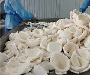 Carne de coco joven IQF congelada de calidad superior de Vietnam Sabor fresco natural Embalaje a granel Exportación al por mayor/Sra. Kana - Product Image 5