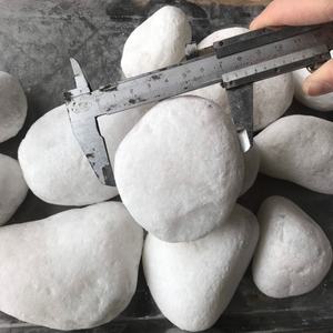 Vente en gros d'usine du Vietnam de galets de pierre naturelle blanche comme neige pavés de pierre dégringolée pour utilisation extérieure de paysage de jardin - Product Image 1