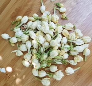 Vente en gros de bourgeons parfumés de fleurs de jasmin séchées collectés au Vietnam pour le savon à bougie et le sac parfumé de fleurs de jasmin séchées - Product Image 5