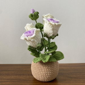 Flor de ganchillo hecha a mano, plantas en maceta, flores artificiales para siempre, regalo para un amigo, perfecto para decoraciones del hogar, OEM hecho en Vietnam - Product Image 2