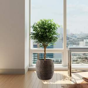 Cestas de Almacenamiento de Jacinto de Agua Rústicas y Ecológicas de Alta Calidad con Asas y Tapa, Organizador Multifuncional para Ropa, Hogar, Oficina, Dormitorio - Product Image 4