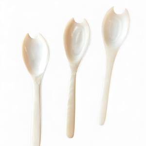 Cuchara Artesanal de Nácar para Postres y Caviar, Producida por Talleres Locales en Vietnam - Product Image 1