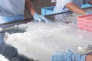 Cubos de Nata de Coco en Almíbar a Granel – Ingrediente para Servicios de Alimentación y Bebidas - Product Image 4
