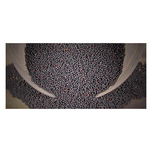 Semillas de Canola de Primera Calidad para Uso Alimentario e Industrial, Empaque Personalizado, Servicio OEM/ODM, 2 Años de Vida Útil, Hecho en Alemania - Product Image 4