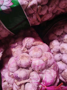 Ail séché de qualité supérieure du Vietnam | Fournisseur en vrac de flocons d'ail déshydratés - Product Image 6