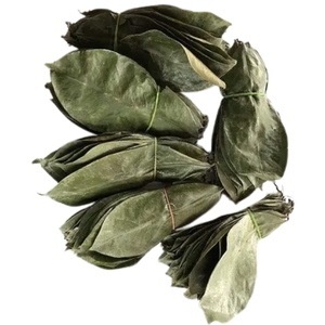 POLVO DE HOJA DE URENTA SECA DE CALIDAD PREMIUM-VENTA CALIENTE DE VIETNAM - Product Image 1