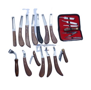 Ensemble de couteaux à sabots professionnels BEST, 6 lames interchangeables, durables, écologiques, instrument complet pour vétérinaires et ferrailleurs pour chevaux - Product Image 4
