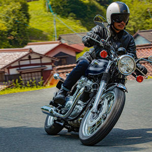 Kawasaki W800 2024 - Product Image 6