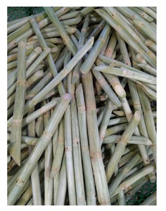 อ้อยแช่แข็งจากเวียดนามราคาดีที่สุดสำหรับผลไม้หวานจำนวนมาก - Product Image 2
