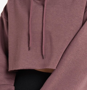 Moda de mujer High Street Gym Yoga Sudadera con capucha de manga larga de gran tamaño corto bordado ropa deportiva otoño tejido - Product Image 4