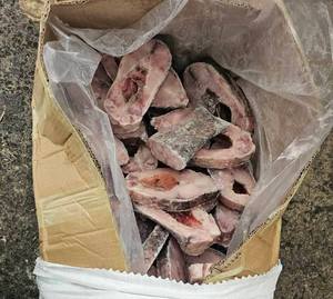 Poisson Rohu Congelé IQF Entier / Qualité Supérieure avec une Durée de Conservation de 12 Mois - Product Image 3