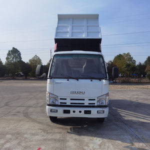 Camion benne léger d'occasion 100ch 120ch 4x2 4x4 6 tonnes, camions bennes légers Isuzu - Product Image 2