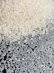 Riz japonais pour sushi, riz huilé, poli, nouvelle récolte, grain court, riz japonica, Koshihikari, Sakura, premium, sac de 1 kg, 5 kg, 10 kg - Product Image 3