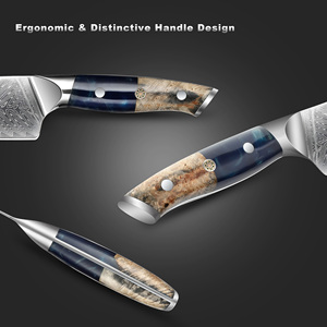 Vente en gros personnalisé Qualité supérieure OEM ODM Service Couteau de chef en acier Damas Couteau de cuisine Couteau de coupe avec manche en résine - Product Image 3