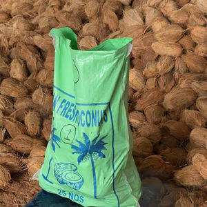 NOIX DE COCO FRAÎCHE MATURE DE QUALITÉ SUPÉRIEURE À PRIX CONCURRENTIEL - Product Image 1