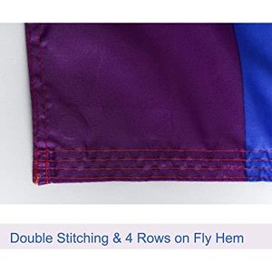 Paquete de 2 Banderas LGBT del Orgullo Gay con Diseño de Arcoíris - Banderas LGBT Lésbicas Grandes de 3x5 Pies para Uso en Interiores y Exteriores - Product Image 6