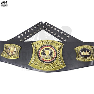 Ceinture de championnat personnalisée de haute qualité, sangle en cuir et acier pour l'entraînement au taekwondo, fabriquée au Pakistan - Product Image 3
